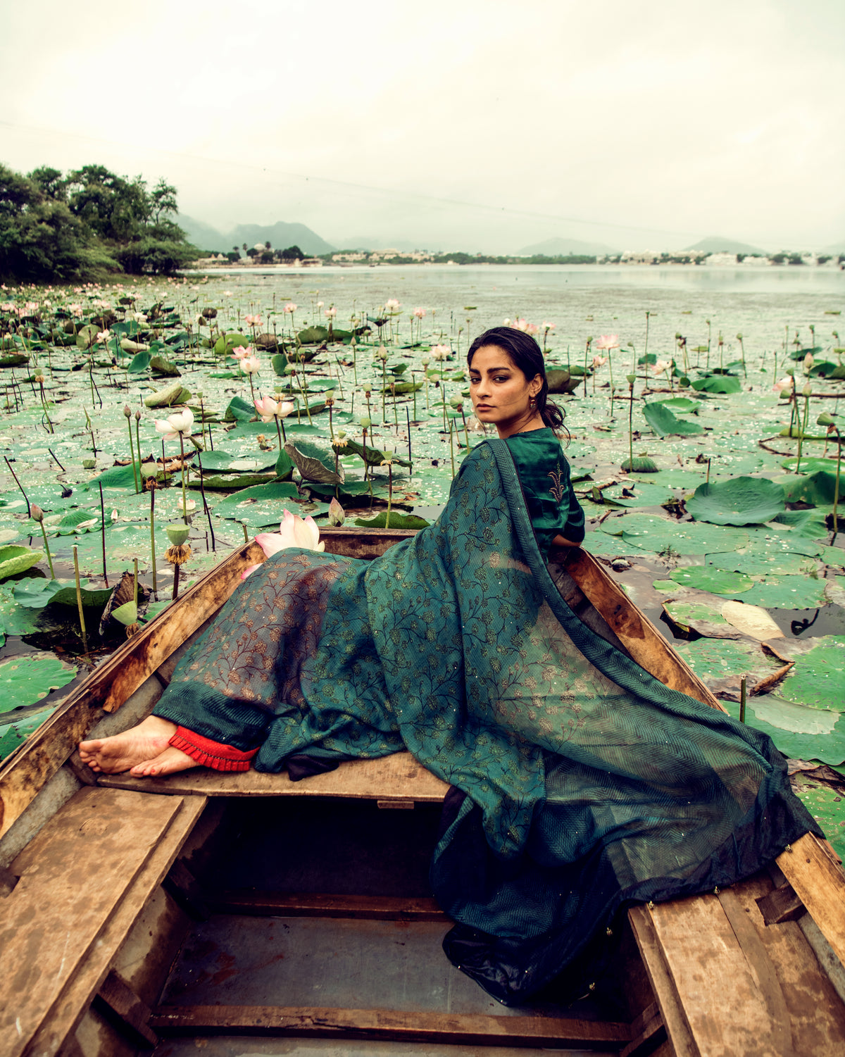 Nargis Jasmine Saree