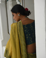 Nargis Haldi Saree